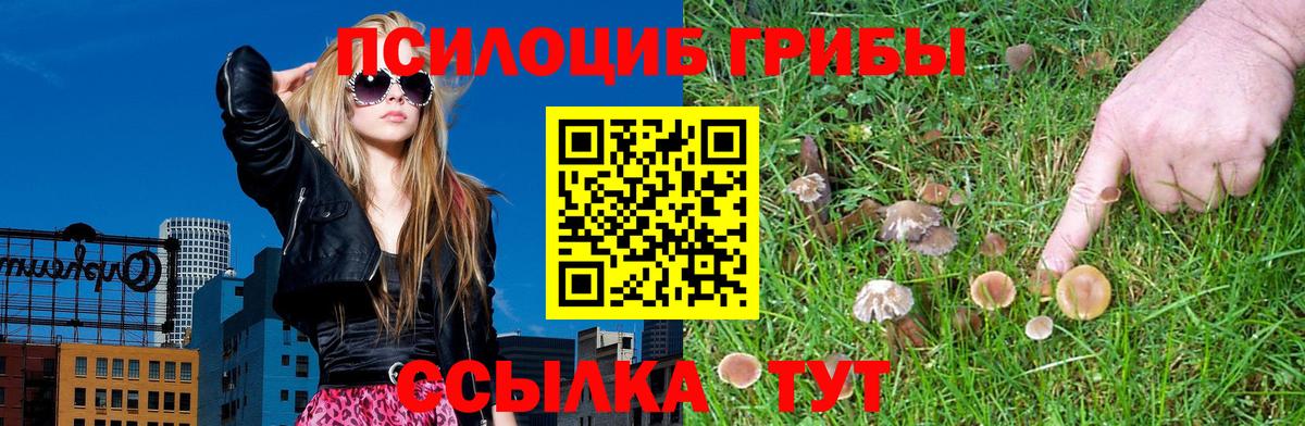 Галлюциногенные грибы ЛСД Свободный
